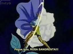 Rosas Sangrentas.