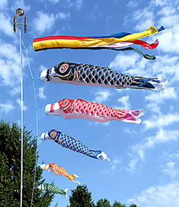 Koinobori.