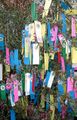 Miniatura da versão das 16h36min de 2 de outubro de 2011