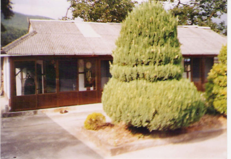 Arquivo:Chongcha.jpg