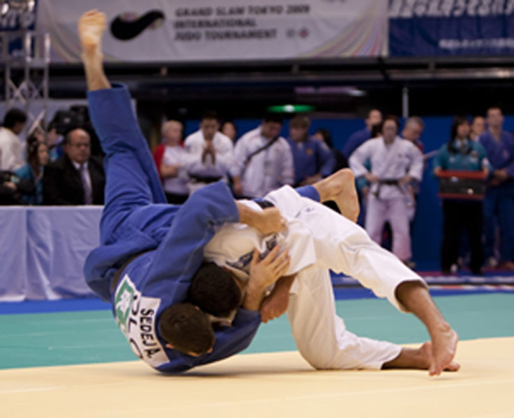 Arquivo:Judo1100.jpg